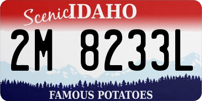 ID license plate 2M8233L