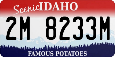 ID license plate 2M8233M