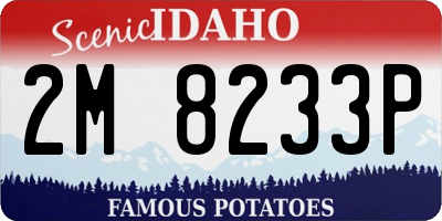 ID license plate 2M8233P