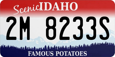 ID license plate 2M8233S