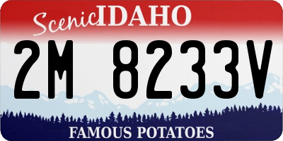 ID license plate 2M8233V