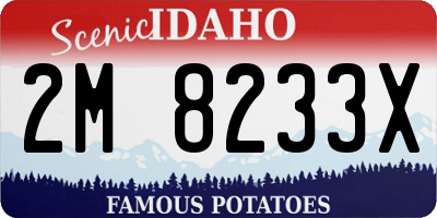 ID license plate 2M8233X