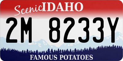 ID license plate 2M8233Y
