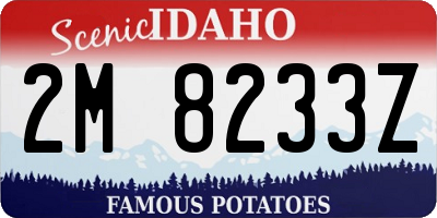 ID license plate 2M8233Z