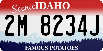 ID license plate 2M8234J