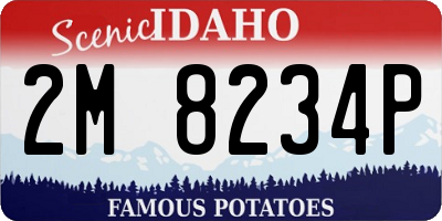 ID license plate 2M8234P