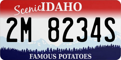 ID license plate 2M8234S