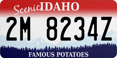 ID license plate 2M8234Z