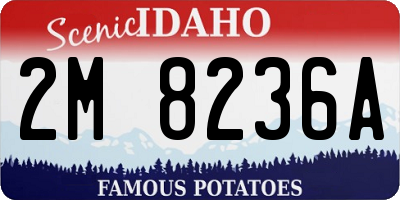 ID license plate 2M8236A