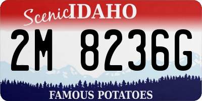 ID license plate 2M8236G