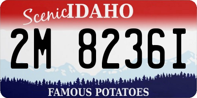 ID license plate 2M8236I