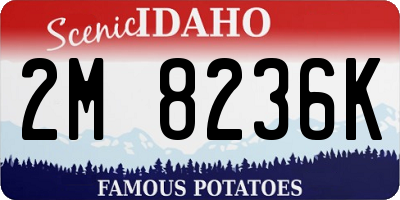 ID license plate 2M8236K