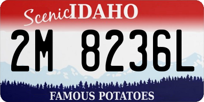 ID license plate 2M8236L