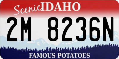 ID license plate 2M8236N