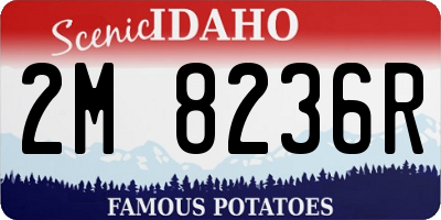 ID license plate 2M8236R