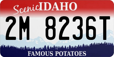 ID license plate 2M8236T