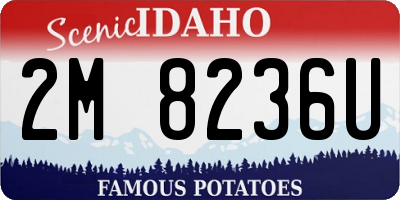 ID license plate 2M8236U