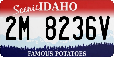 ID license plate 2M8236V
