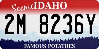 ID license plate 2M8236Y