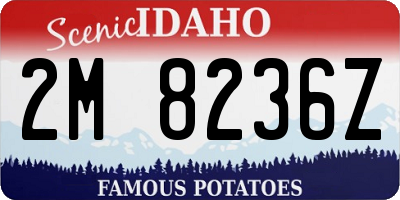 ID license plate 2M8236Z