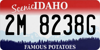 ID license plate 2M8238G
