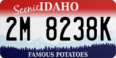 ID license plate 2M8238K