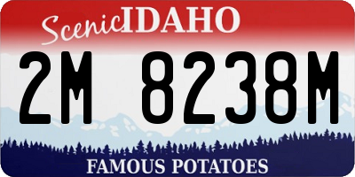 ID license plate 2M8238M