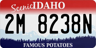ID license plate 2M8238N