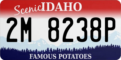ID license plate 2M8238P