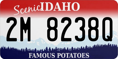 ID license plate 2M8238Q
