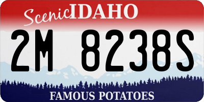 ID license plate 2M8238S