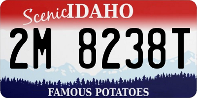 ID license plate 2M8238T