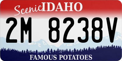 ID license plate 2M8238V