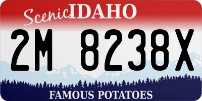ID license plate 2M8238X