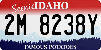 ID license plate 2M8238Y
