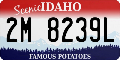ID license plate 2M8239L