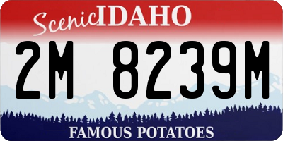 ID license plate 2M8239M
