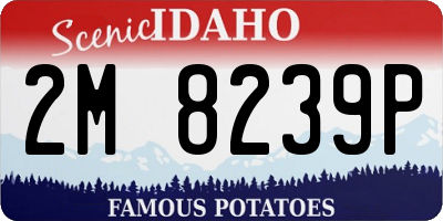 ID license plate 2M8239P