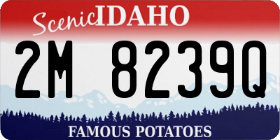 ID license plate 2M8239Q