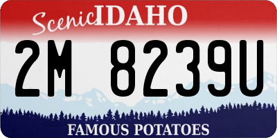 ID license plate 2M8239U