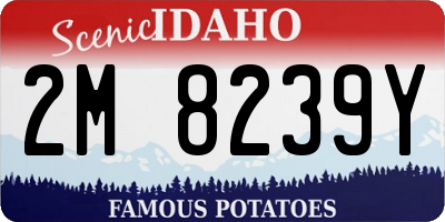 ID license plate 2M8239Y