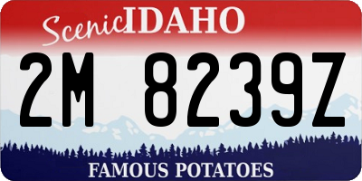ID license plate 2M8239Z