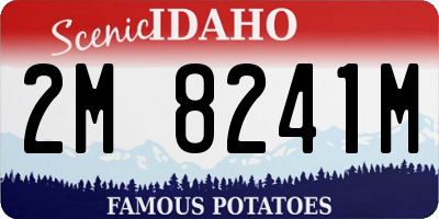 ID license plate 2M8241M