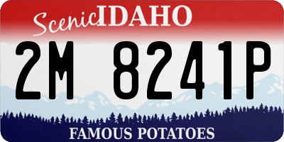 ID license plate 2M8241P