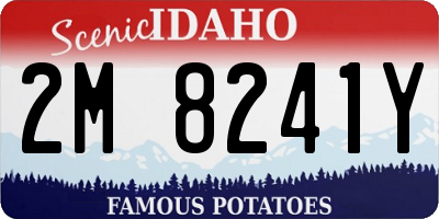 ID license plate 2M8241Y