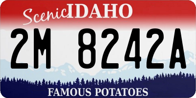 ID license plate 2M8242A