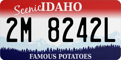 ID license plate 2M8242L