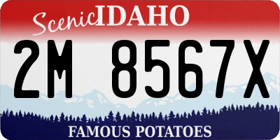 ID license plate 2M8567X