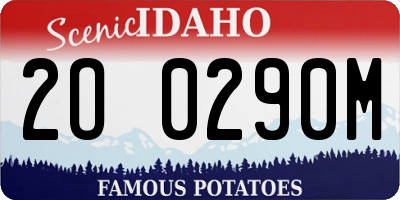 ID license plate 2O0290M