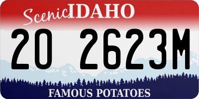 ID license plate 2O2623M